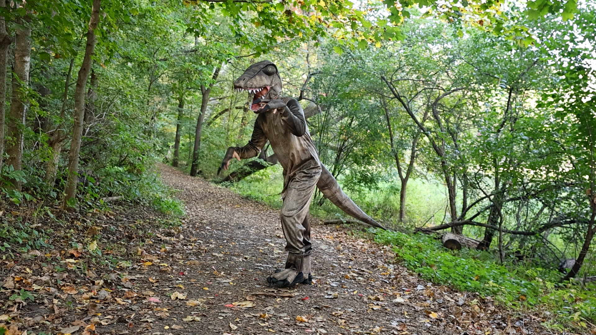 FUN1500AD  T-Rex Dinosaur Costume for Adults